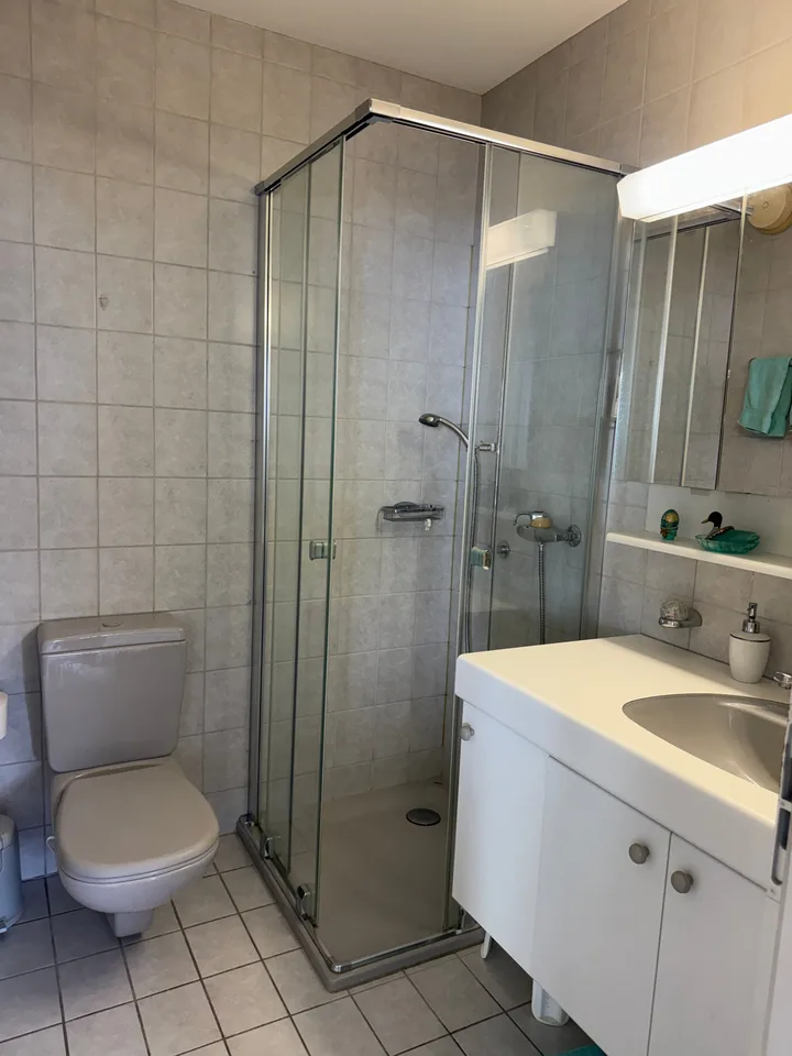 RESERVIERT - 2.5-Zimmer-Attikawohnung mit Panoramasicht in Brissago kaufen – Foto 11 von 13