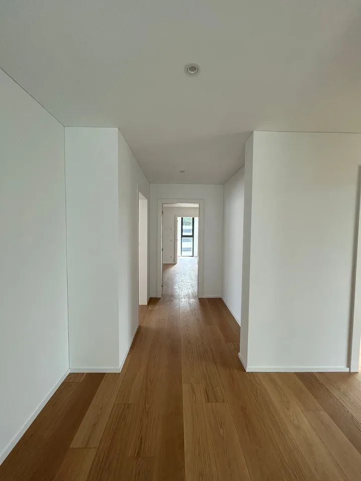 MASSAGNO - helles Penthouse zur Miete