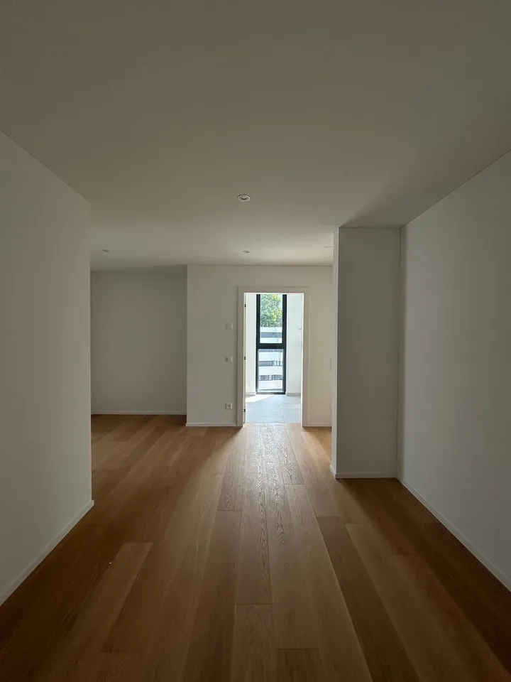 MASSAGNO - helles Penthouse zur Miete