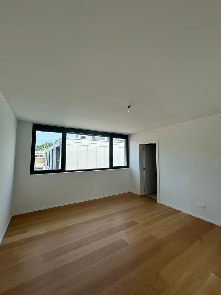 MASSAGNO - helles Penthouse zur Miete