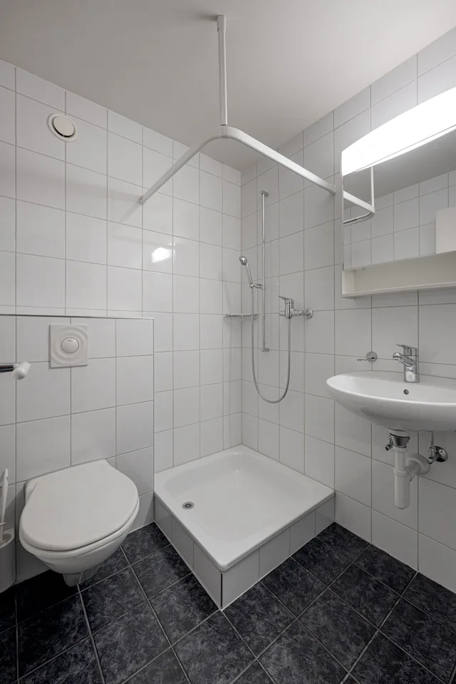 Casa a schiera in posizione privilegiata a Horgen – foto 12 di 15