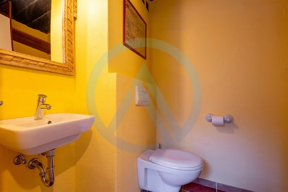 La Guardiana del Borgo - Grande casa di carattere con 2 appartamenti a Moudon – foto 13 di 29