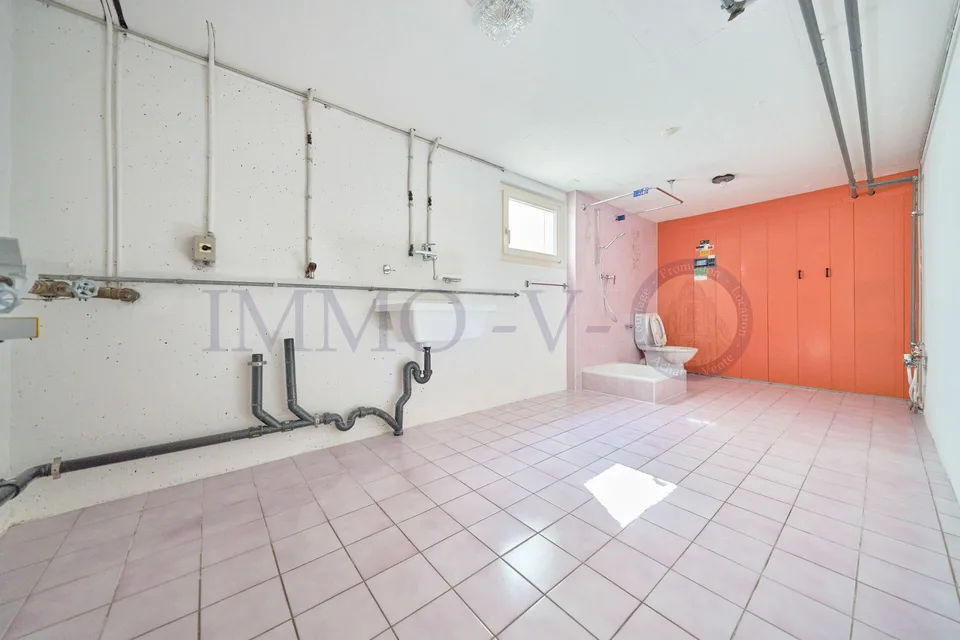 SPACIOUS HIGH-QUALITY VILLA WITH LARGE GARDEN AND SWIMMING POOL
