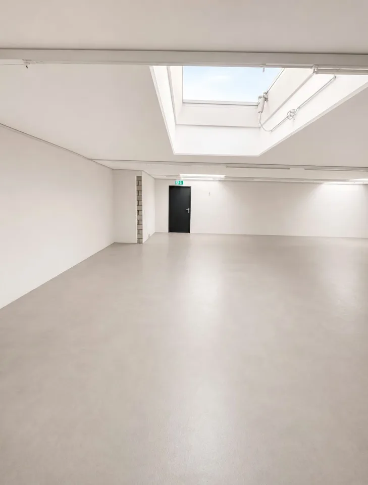 Espace d'entrepôt/production avec plateforme de stockage et grande porte dans un emplacement central – photo 5 sur 10
