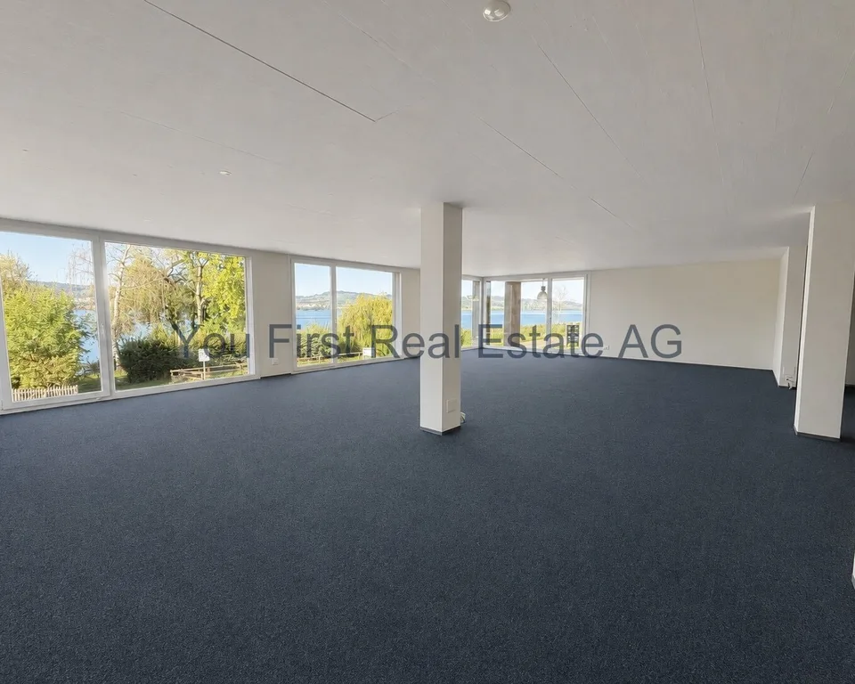 Bureaux, cabinets et locaux commerciaux avec vue sur le lac à 180 degrés