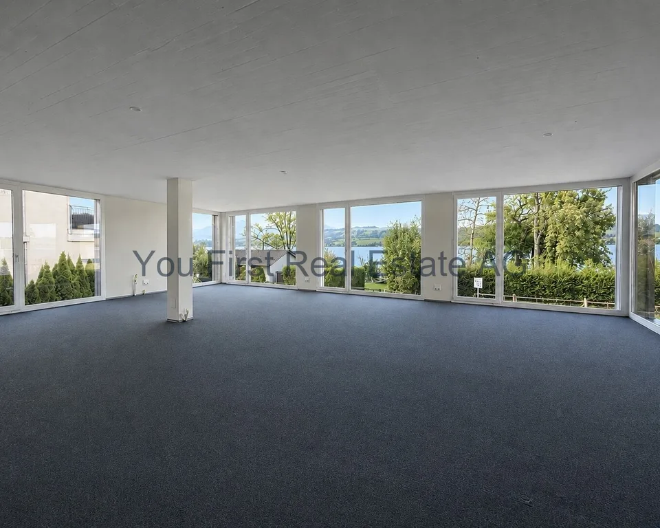 Bureaux, cabinets et locaux commerciaux avec vue sur le lac à 180 degrés
