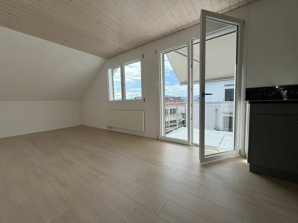 3.5 Zi helle Dach Wohnung