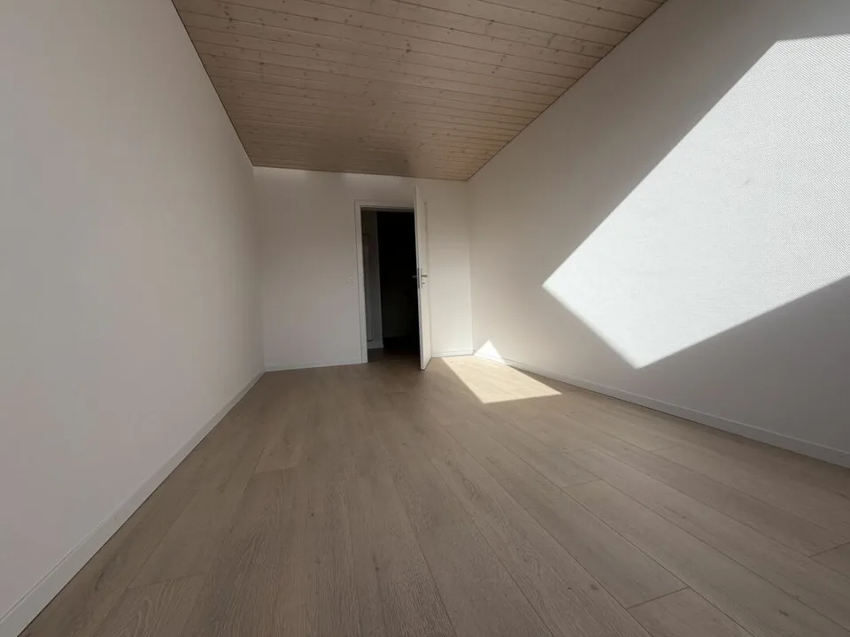 3.5 Zi helle Dach Wohnung