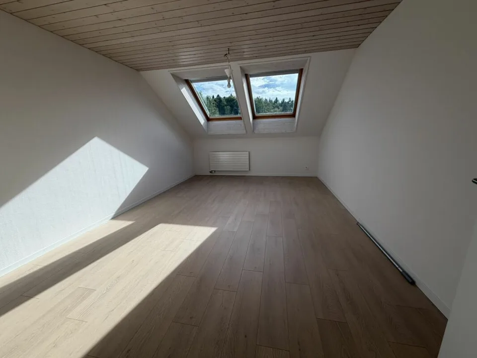 3.5 Zi helle Dach Wohnung