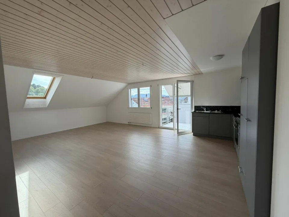 3.5 Zi helle Dach Wohnung