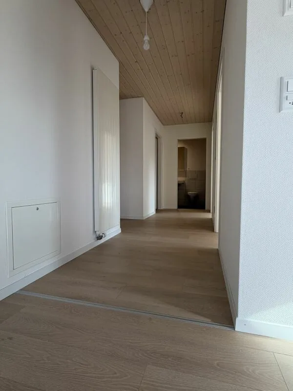 3.5 Zi helle Dach Wohnung