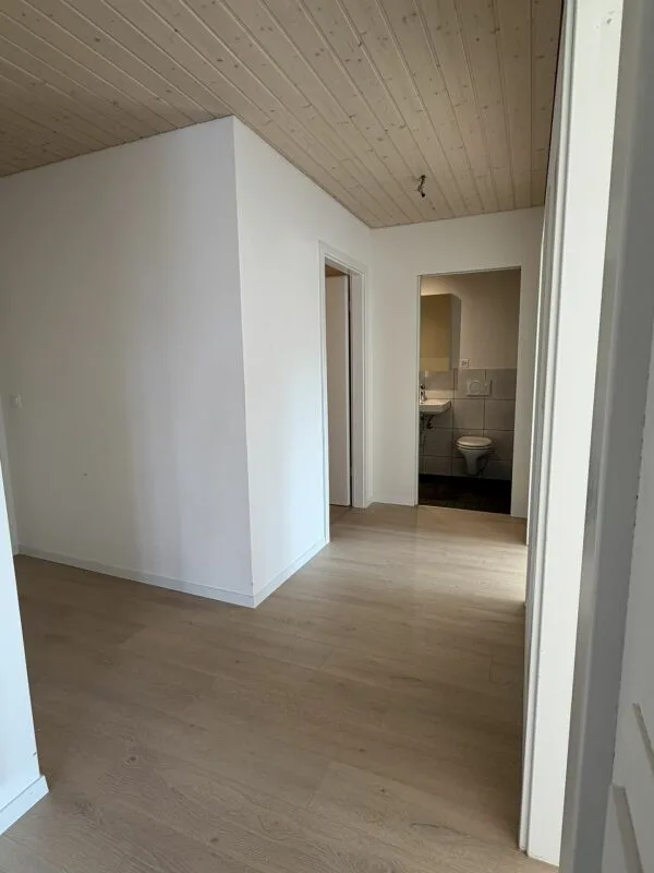 3.5 Zi helle Dach Wohnung