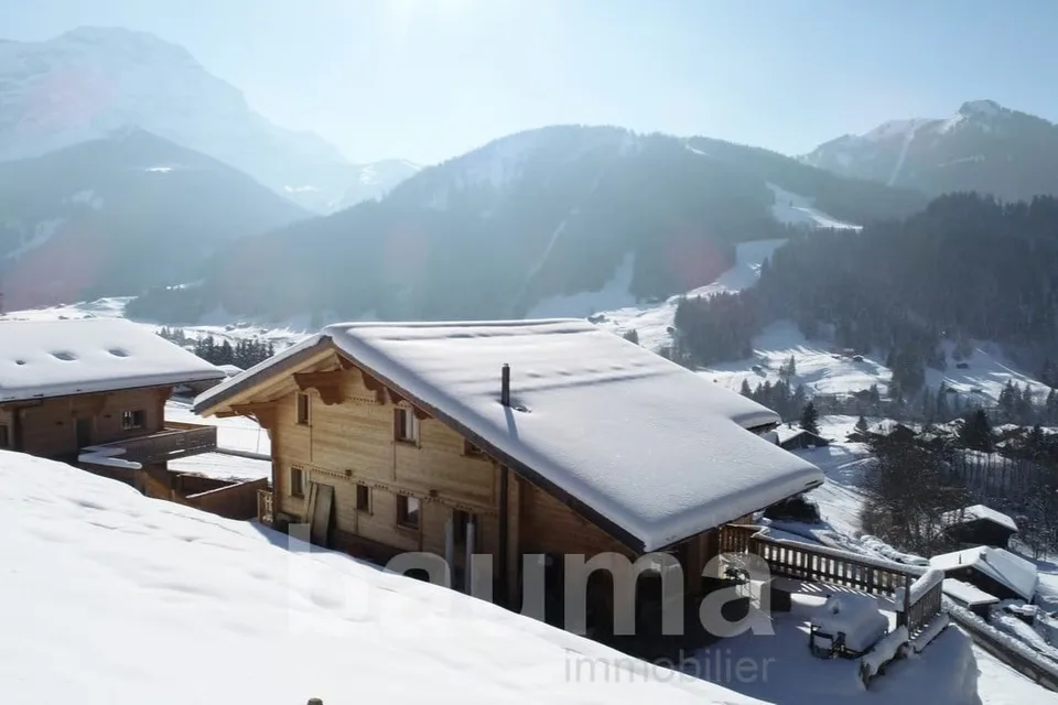 Chalet with two apartments – photo 6 of 13