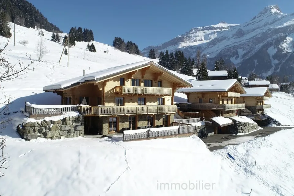 Chalet with two apartments – photo 13 of 13