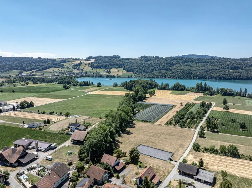 Votre nouveau chez-vous - Spacieux, élégant et ensoleillé – photo 7 sur 7
