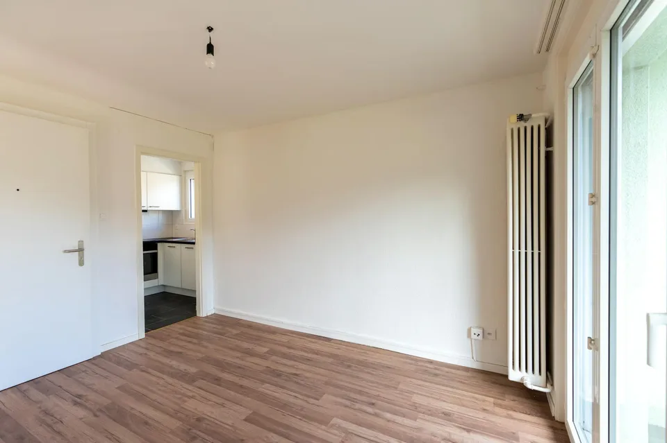 Renovated and bright 2.5 rooms with balcony