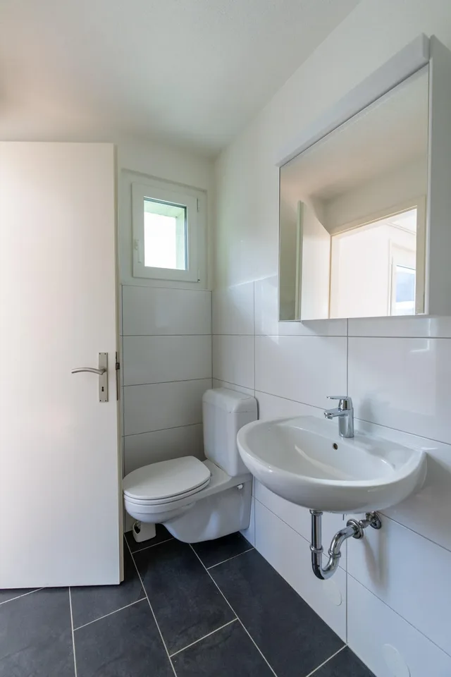 Renovated and bright 2.5 rooms with balcony