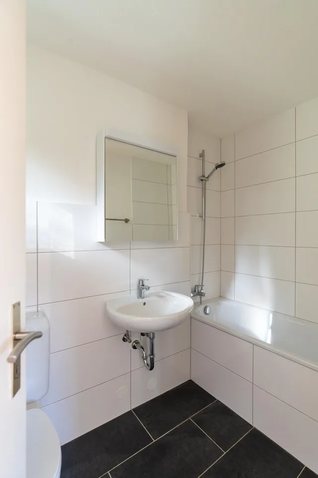 Renovated and bright 2.5 rooms with balcony
