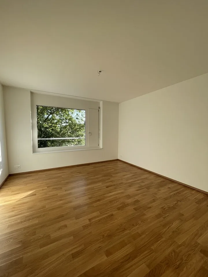 Modern and Central: 4.5 Room Apartment in the Green