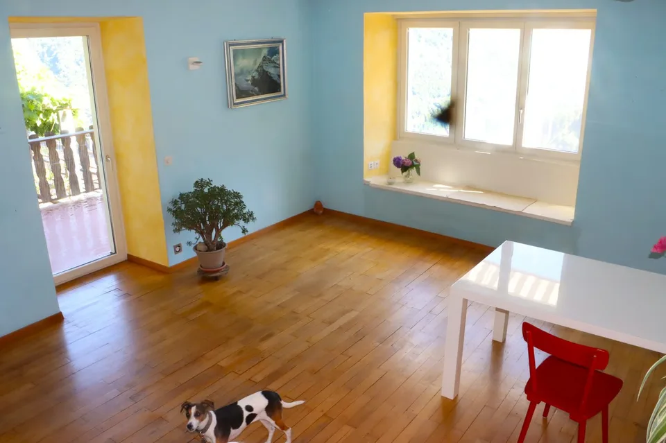 Maison charmante avec deux appartements prête à emménager – photo 11 sur 19