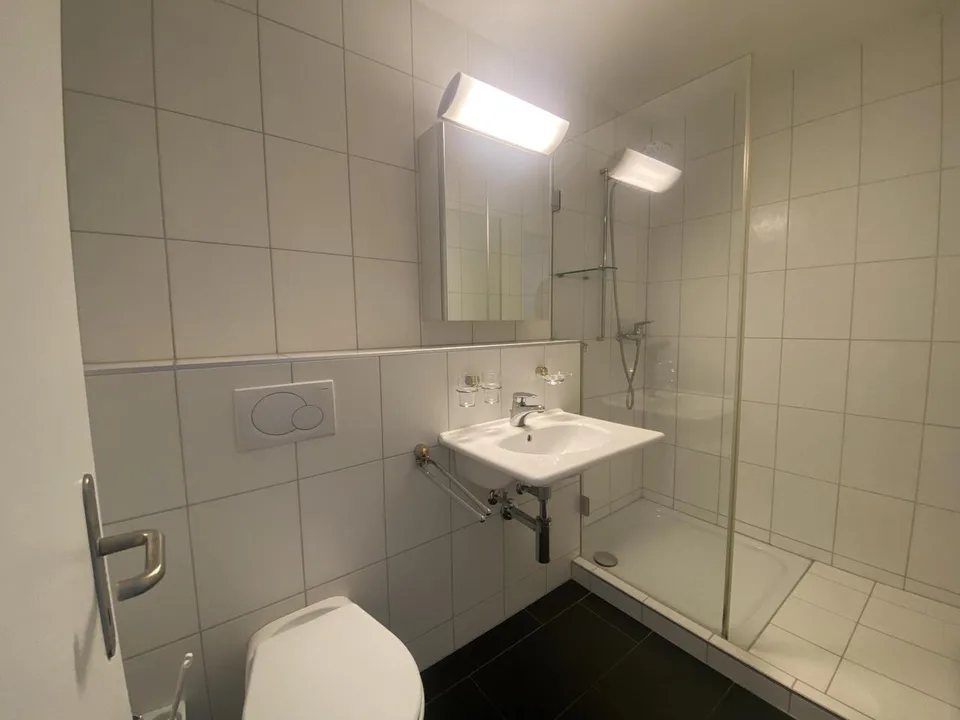 Magnifico duplex di 4,5 locali in affitto a Neuchâtel – foto 4 di 9