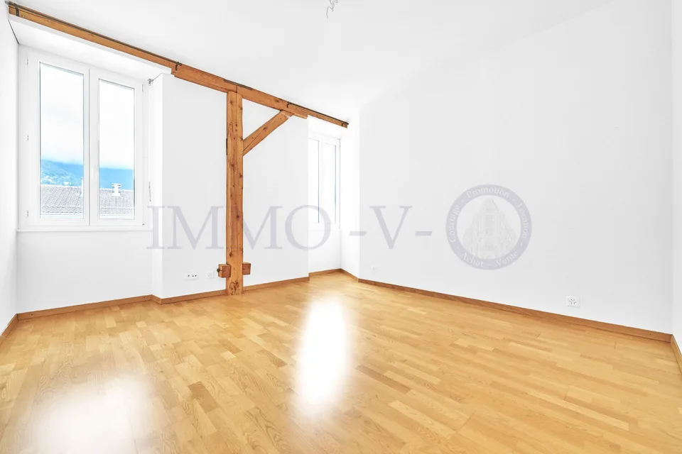 Spacious attic with charm and beautiful volume, 200m from the lake