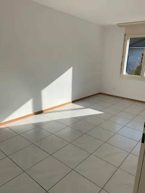 Bellissimo e spazioso appartamento di 3,5 stanze con nuova cucina