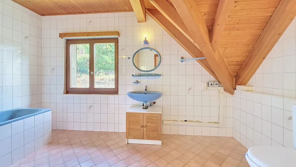 Einzelvilla mit 2 Wohnungen in Seigneux / VD – Foto 27 von 29
