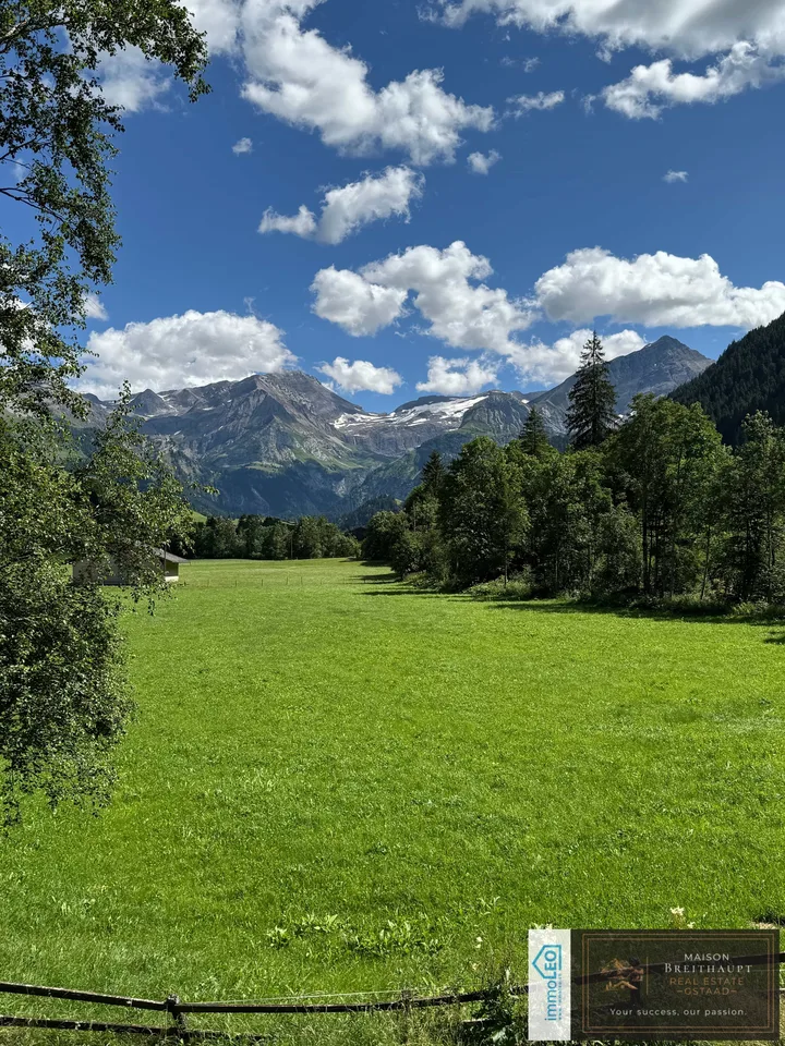 Chalet neuf idyllique de 5½ pièces avec vue sur la montagne – photo 3 sur 9