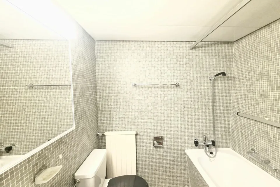 Large 1.5-room apartment with beautiful view, near the forest