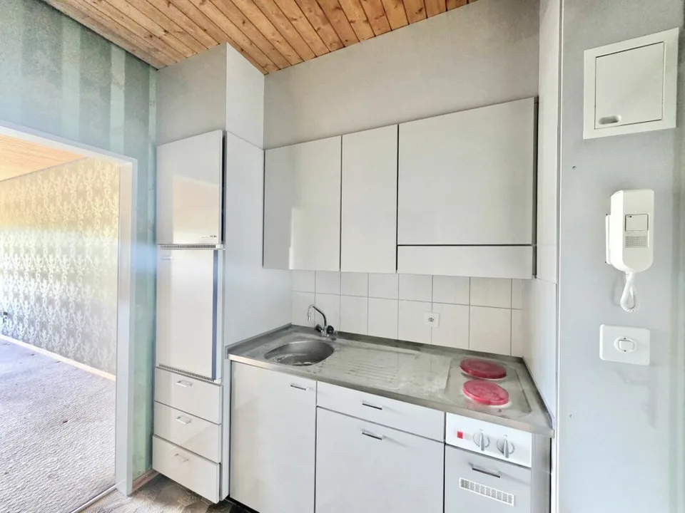 Large 1.5-room apartment with beautiful view, near the forest