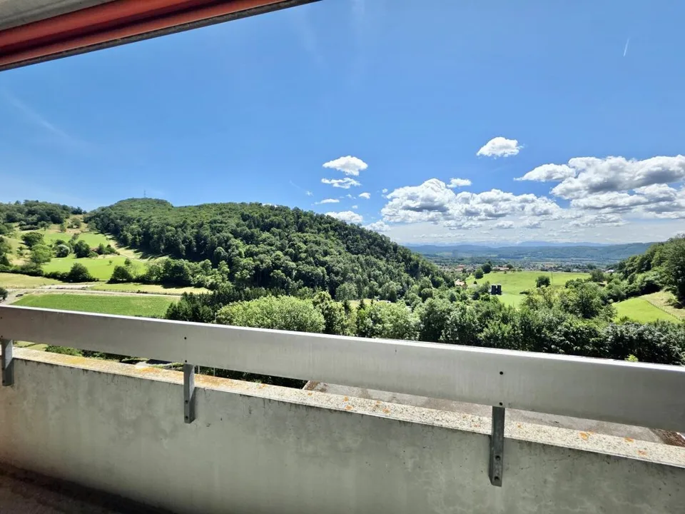 Large 1.5-room apartment with beautiful view, near the forest
