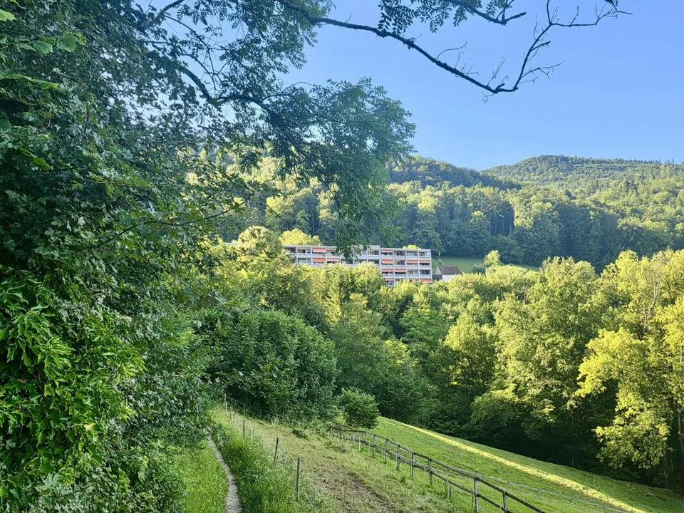 Large 1.5-room apartment with beautiful view, near the forest
