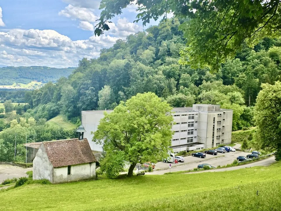 Large 1.5-room apartment with beautiful view, near the forest