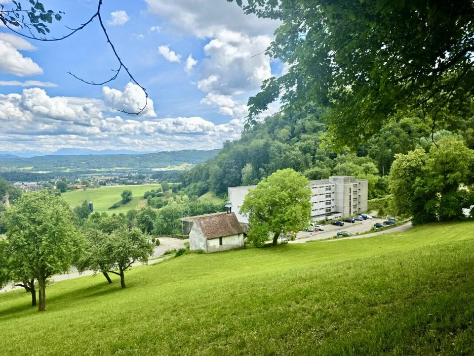 Large 1.5-room apartment with beautiful view, near the forest