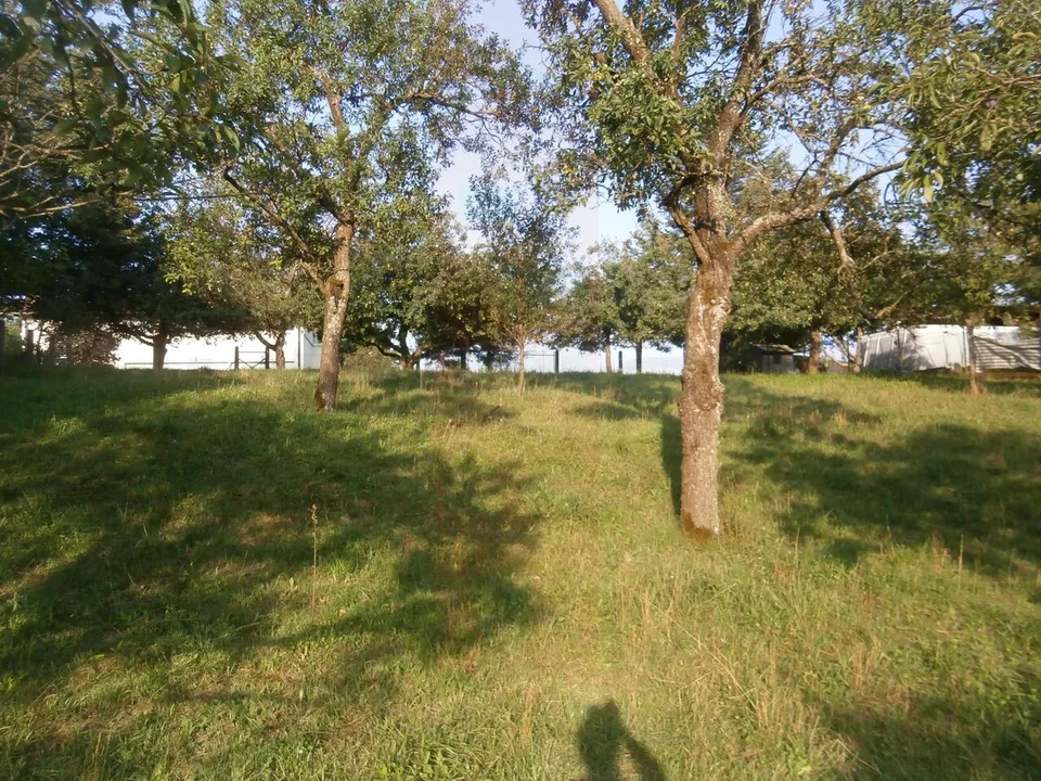 Bauland – Foto 9 von 10