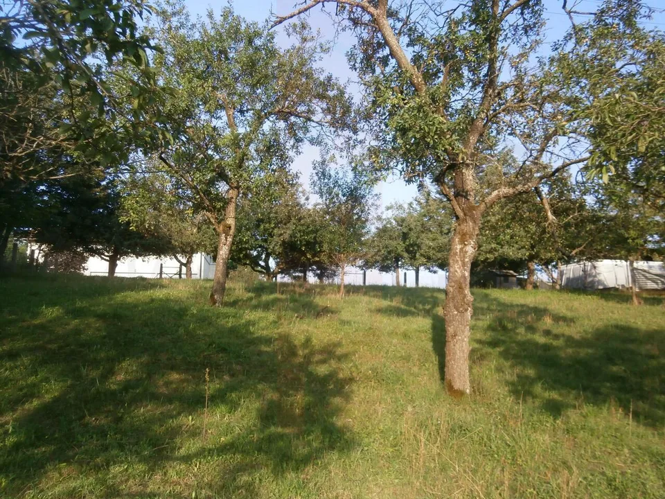 Bauland – Foto 3 von 10