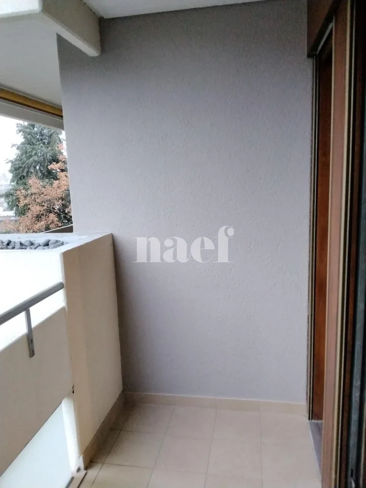 Vier-Zimmer-Wohnung mit innerem Parkplatz in Champel – Foto 29 von 39