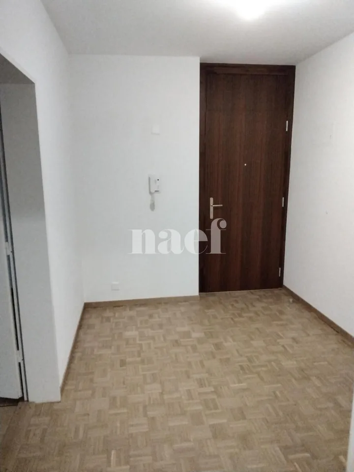 Vier-Zimmer-Wohnung mit innerem Parkplatz in Champel – Foto 15 von 39