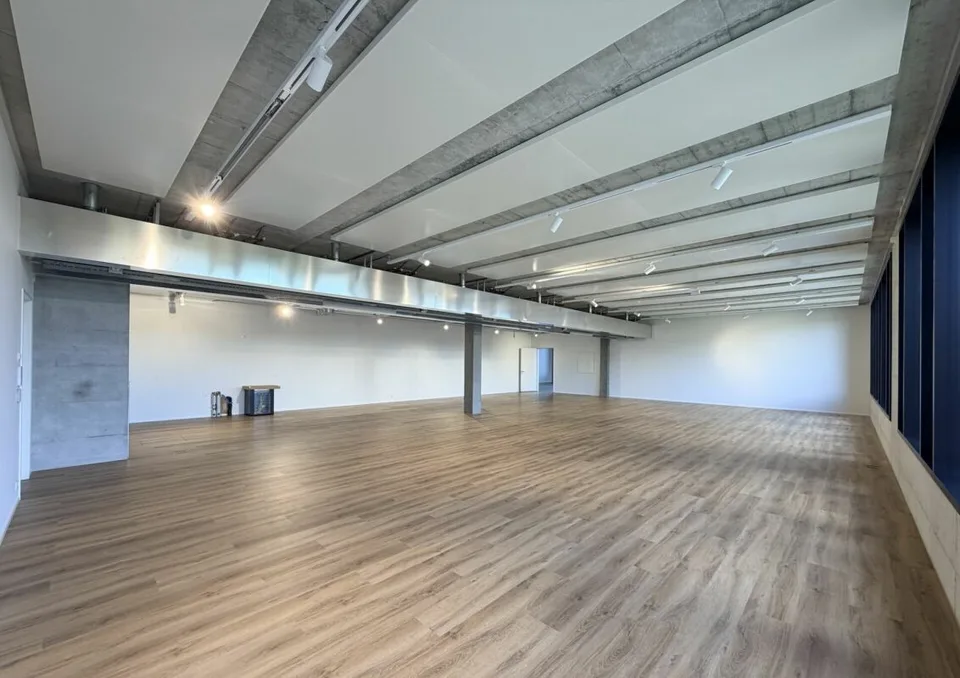 Büro/Gewerbe | Hang-Aar | 189 bis 271 m² – Foto 12 von 13