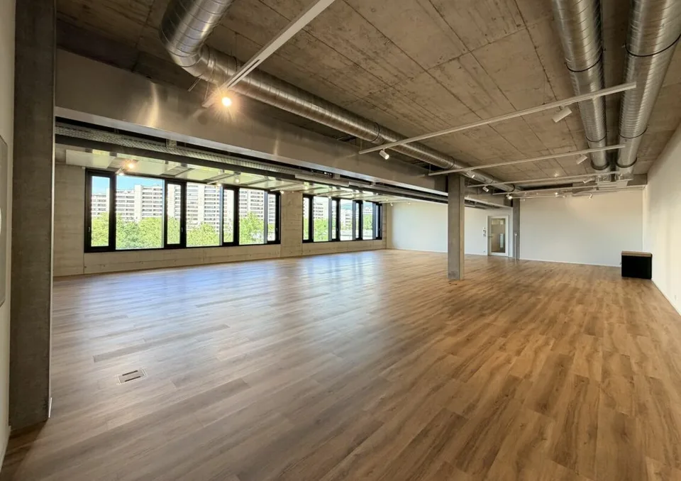 Büro/Gewerbe | Hang-Aar | 189 bis 271 m² – Foto 11 von 13