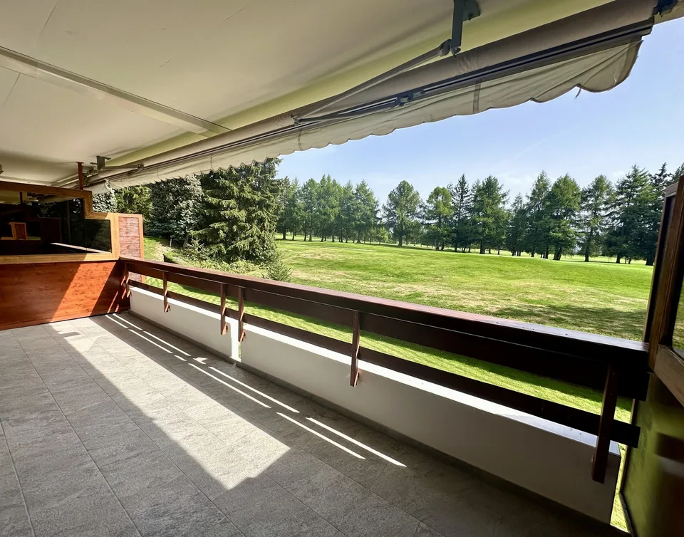 Magnificent 3.5 room renovated apartment on the golf course