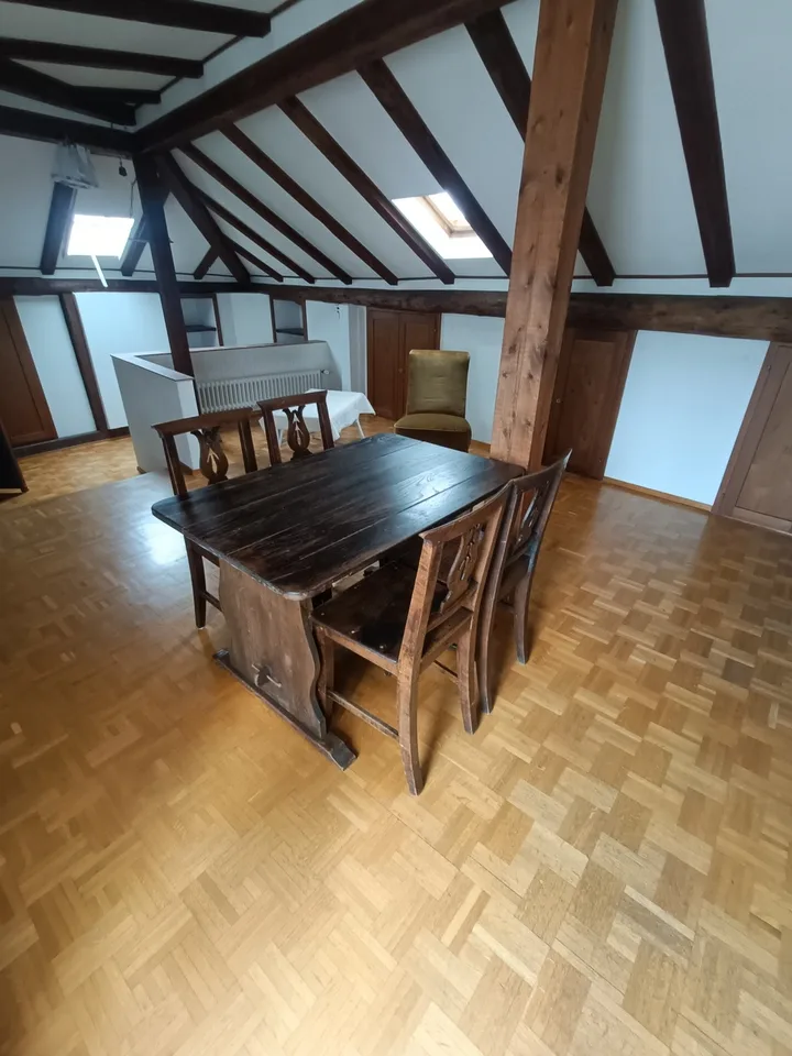 ASCONA, WE RENT A FURNISHED 1 1/2 ROOM APARTMENT