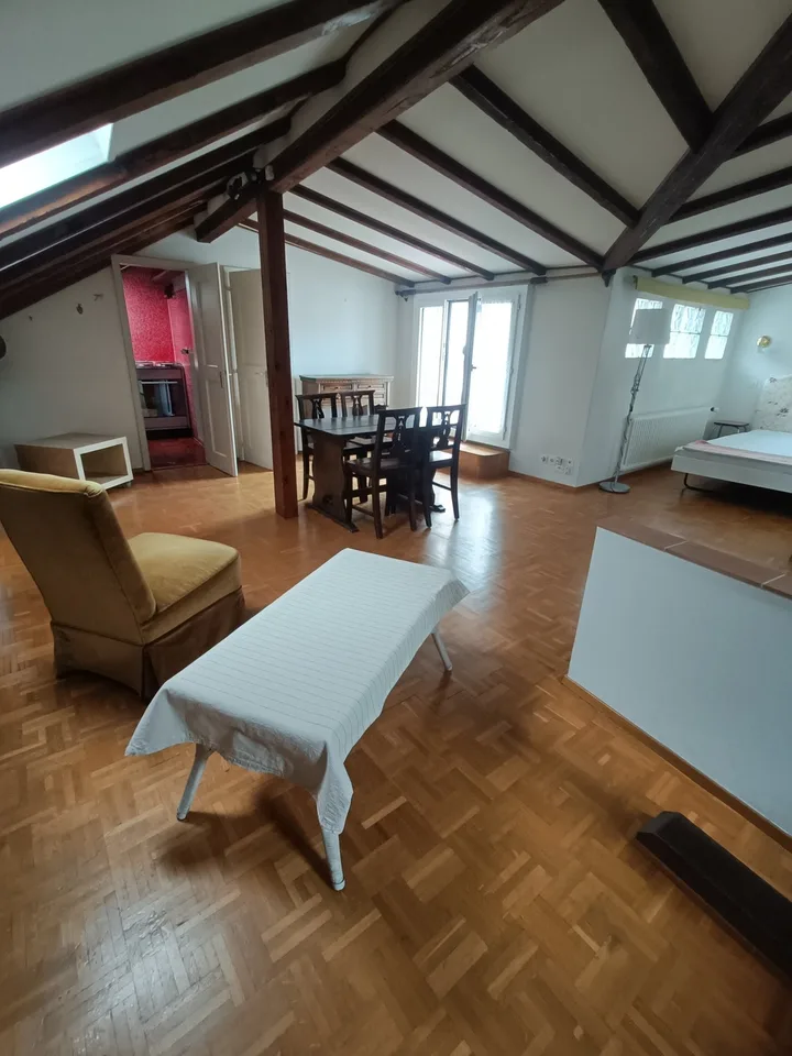 ASCONA, WE RENT A FURNISHED 1 1/2 ROOM APARTMENT