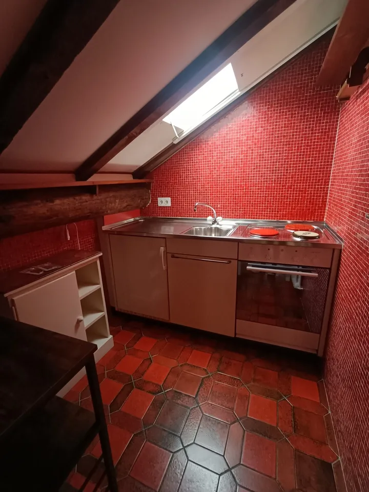 ASCONA, WE RENT A FURNISHED 1 1/2 ROOM APARTMENT
