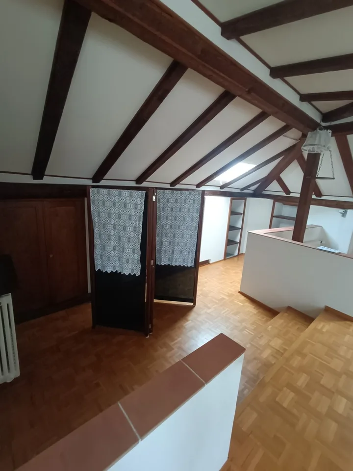 ASCONA, WE RENT A FURNISHED 1 1/2 ROOM APARTMENT