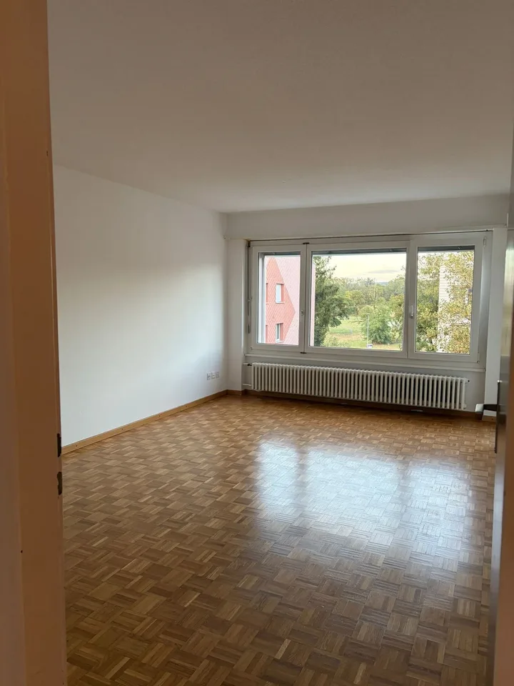 Charmant appartement de 3.5 pièces à Obergösgen – disponible immédiatement!