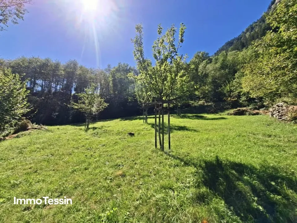 Ein wahres Alpenparadies: Authentisches und saniertes Rustico & ein unabhängiges Atelier und 3 Parzellen voller Freiheit auf 11000 m2 Grund – Foto 6 von 13