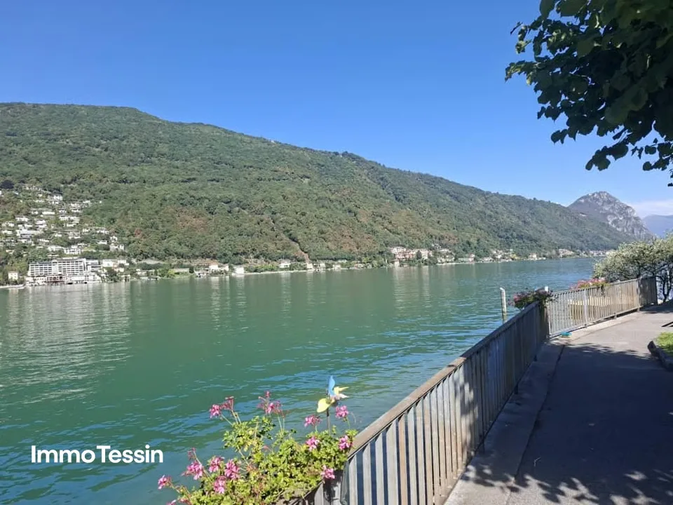 Attraktive Liegenschaft für Wohnen & Gewerbe unter einem Dach an super Lage am Lago di Lugano – Foto 3 von 13