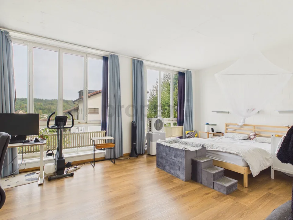 Vista, Altezza della Stanza & Cortile - La Tua Nuova Casa a Othmarsingen